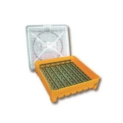 Couveuse Semi-automatique 56 Oeufs