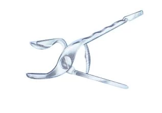 Sécateur Volailles – Image 2