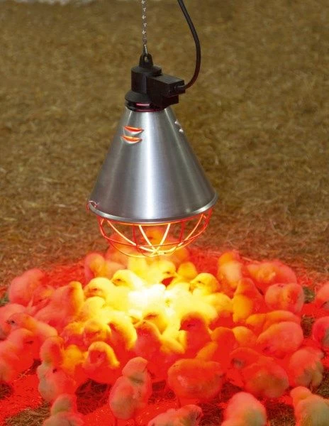 Protecteur De Lampe Infrarouge 175W éleveuse électrique Poule 2,5m - Kerbl 4 Protecteur De Lampe Infrarouge 175W éleveuse électrique Poule 2,5m - Kerbl – Image 2