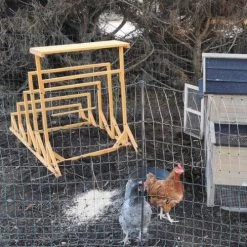 Aire De Jeux En Bois Pour Poule Avec Balançoire -Fournitures De Volaille aire de jeux poule avec balancoire avec deux poules installee poulailler