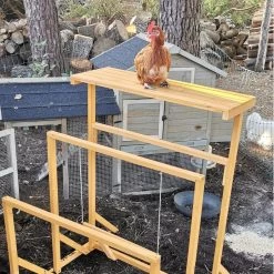 Aire De Jeux En Bois Pour Poule Avec Balançoire -Fournitures De Volaille aire de jeux poule avec balancoire avec poule