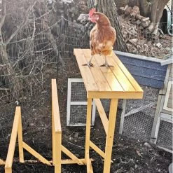 Aire De Jeux En Bois Pour Poule Avec Balançoire -Fournitures De Volaille aire de jeux poule avec balancoire avec poule cote