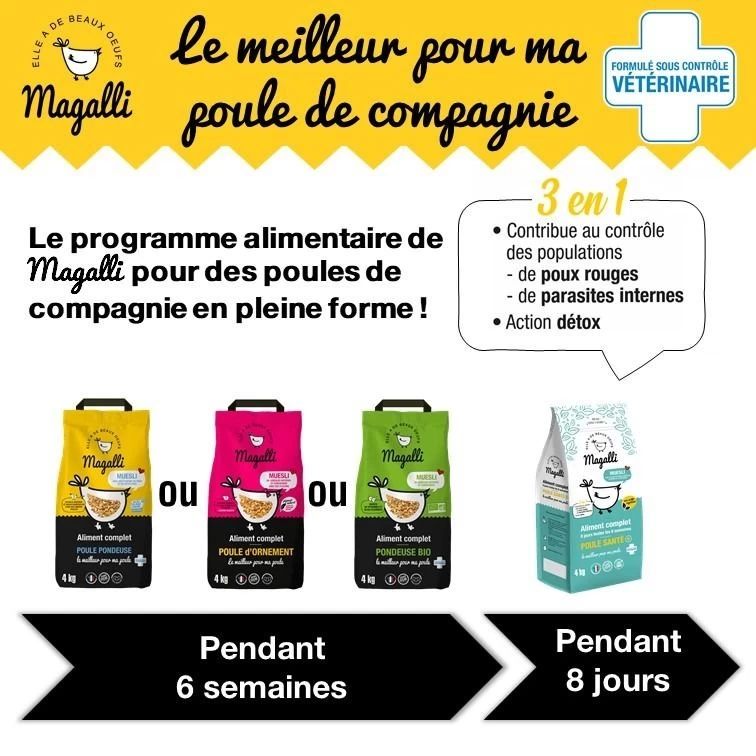 Mélange Pour Poule D’ornement Muesli 4kg - Magalli 6 Mélange Pour Poule D’ornement Muesli 4kg - Magalli – Image 4