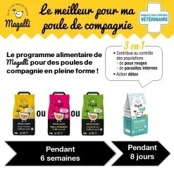 Mélange Poule Pondeuse Muesli Bio 8kg - Magalli -Fournitures De Volaille aliment pondeuse bio magalli 5