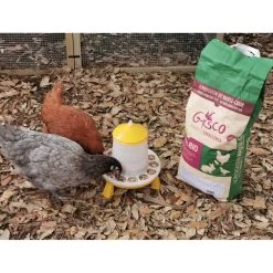 Mélange Poule Pondeuse Bio 8 Kg - Gasco -Fournitures De Volaille alimentation pondeuse bio 8kg avec poules