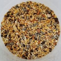 Mélange Poule Pondeuse Bio 8 Kg - Gasco -Fournitures De Volaille alimentation pondeuse bio gros plan 1