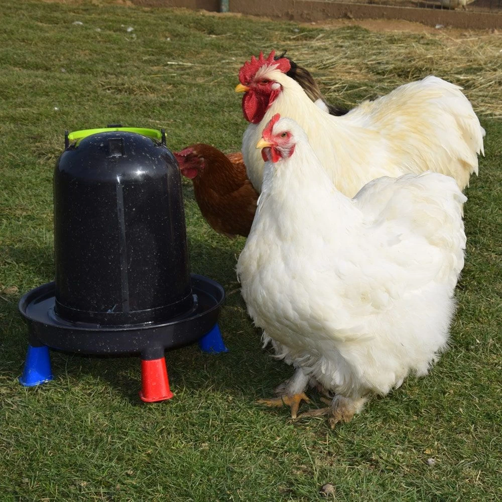Abreuvoir Poule à Pieds En Plastique Recyclé Eco 10L 7 Abreuvoir Poule à Pieds En Plastique Recyclé Eco 10L – Image 5