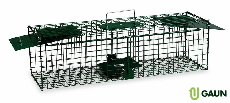 Cage Piège Double Entrée En Métal Peint - Gaun 4 Cage Piège Double Entrée En Métal Peint - Gaun – Image 2