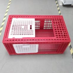Cage Transport Grandes Volailles 96x57x42cm 3 Portes Rouge Et Blanche 11 Cage Transport Grandes Volailles 96x57x42cm 3 Portes Rouge Et Blanche -Fournitures De Volaille cage transport grandes volailles 96x57x42 aytav cote ouverte