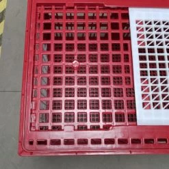Cage Transport Grandes Volailles 96x57x42cm 3 Portes Rouge Et Blanche 13 Cage Transport Grandes Volailles 96x57x42cm 3 Portes Rouge Et Blanche -Fournitures De Volaille cage transport grandes volailles 96x57x42 aytav detail