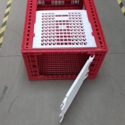 Cage Transport Grandes Volailles 96x57x42cm 3 Portes Rouge Et Blanche 14 Cage Transport Grandes Volailles 96x57x42cm 3 Portes Rouge Et Blanche -Fournitures De Volaille cage transport grandes volailles 96x57x42 aytav detail cote ouverte