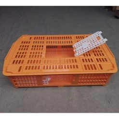 Cage Transport Petites Volailles 67x45x15cm 2 Portes Orange Et Blanche -Fournitures De Volaille cage transport volailles 67x45x15 aytav cote ouverte