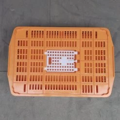 Cage Transport Petites Volailles 67x45x15cm 2 Portes Orange Et Blanche -Fournitures De Volaille cage transport volailles 67x45x15 aytav dessus fermee
