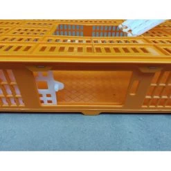 Cage Transport Petites Volailles 67x45x15cm 2 Portes Orange Et Blanche -Fournitures De Volaille cage transport volailles 67x45x15 aytav detail cote ouverte