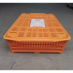 Cage Transport Petites Volailles 67x45x15cm 2 Portes Orange Et Blanche -Fournitures De Volaille cage transport volailles 67x45x15 aytav vue cote fermee