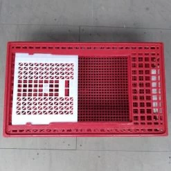 Cage Transport Poules Et Volailles 77x57x27cm 2 Portes Rouge Et Blanche -Fournitures De Volaille cage transport volailles 77x57x27 aytav dessus ouverte