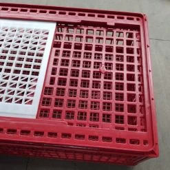 Cage Transport Poules Et Volailles 77x57x27cm 2 Portes Rouge Et Blanche -Fournitures De Volaille cage transport volailles 77x57x27 aytav detail
