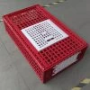 Cage Transport Poules Et Volailles 77x57x27cm 2 Portes Rouge Et Blanche 1 Cage Transport Poules Et Volailles 77x57x27cm 2 Portes Rouge Et Blanche -Fournitures De Volaille cage transport volailles 77x57x27 aytav profil fermee