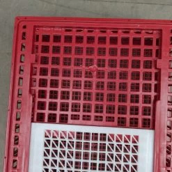 Cage Transport Poules Et Volailles 96x57x27cm 2 Portes Rouge Et Blanche -Fournitures De Volaille cage transport volailles 96x57x27 aytav gros plan