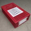 Cage Transport Poules Et Volailles 96x57x27cm 2 Portes Rouge Et Blanche 2 Cage Transport Poules Et Volailles 96x57x27cm 2 Portes Rouge Et Blanche -Fournitures De Volaille cage transport volailles 96x57x27 aytav profil fermee