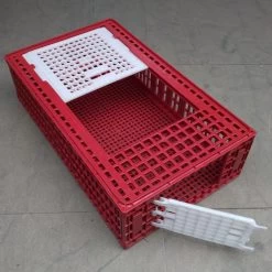 Cage Transport Poules Et Volailles 96x57x27cm 2 Portes Rouge Et Blanche -Fournitures De Volaille cage transport volailles 96x57x27 aytav profil ouverte