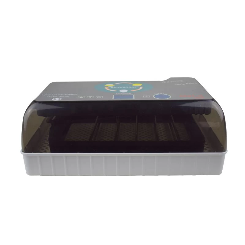 Couveuse Automatique Digitale Poule 12 œufs - HHD 7 Couveuse Automatique Digitale Poule 12 œufs - HHD – Image 5