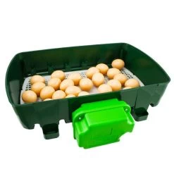 Couveuse Automatique Digitale Poule ET 24 - River Systems -Fournitures De Volaille couveuse automatique digitale et 24 river systems ouverte