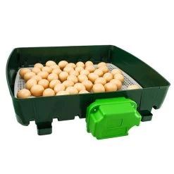 Couveuse Automatique Digitale Poule ET 49 - River Systems -Fournitures De Volaille couveuse automatique digitale et 49 river systems ouverte