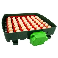 Couveuse Automatique Digitale Poule ET 49 - River Systems -Fournitures De Volaille couveuse automatique digitale et 49 river systems retournement automatique