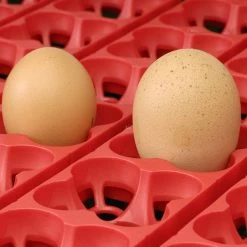 Couveuse Automatique Digitale Poule ET 12 - River Systems -Fournitures De Volaille couveuse automatique digitale et river systems grille retournement automatique