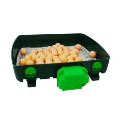 Couveuse Automatique Digitale Poule ET Super 49 œufs - River Systems -Fournitures De Volaille couveuse automatique digitale et super 49 river systems ouverte