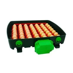 Couveuse Automatique Digitale Poule ET Super 49 œufs - River Systems -Fournitures De Volaille couveuse automatique digitale et super 49 river systems ouverte oeufs ranges