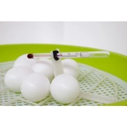 Couveuse Automatique Digitale Poule Smart Digital 24 œufs Verte - FIEM -Fournitures De Volaille couveuse automatique smart digital 24 oeufs fiem thermometre 1