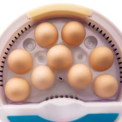 Couveuse Manuelle Digitale Poule 9 œufs - HHD -Fournitures De Volaille couveuse oeufs hhd 9 oeufs