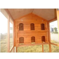 Pigeonnier En Bois 12 Pigeons Huppé Toit Shingle Vert -Fournitures De Volaille dfb013 50