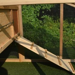 Poulailler Soie Toit Shingle Et Polycarbonate Jusqu’à 6 Poules -Fournitures De Volaille dsc 0494