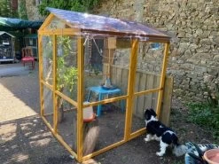 Parc Grillagé Pour Poulailler Vorwerk Et Gournay 14 Parc Grillagé Pour Poulailler Vorwerk Et Gournay -Fournitures De Volaille extension poulailler gournay amenage voliere cote