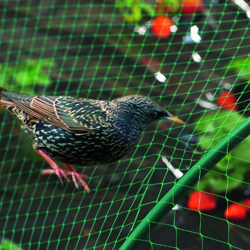 Filet De Protection Oiseaux Pour Poulailler Vert Birdnet 4x6m - Nortene 4 Filet De Protection Oiseaux Pour Poulailler Vert Birdnet 4x6m - Nortene – Image 2