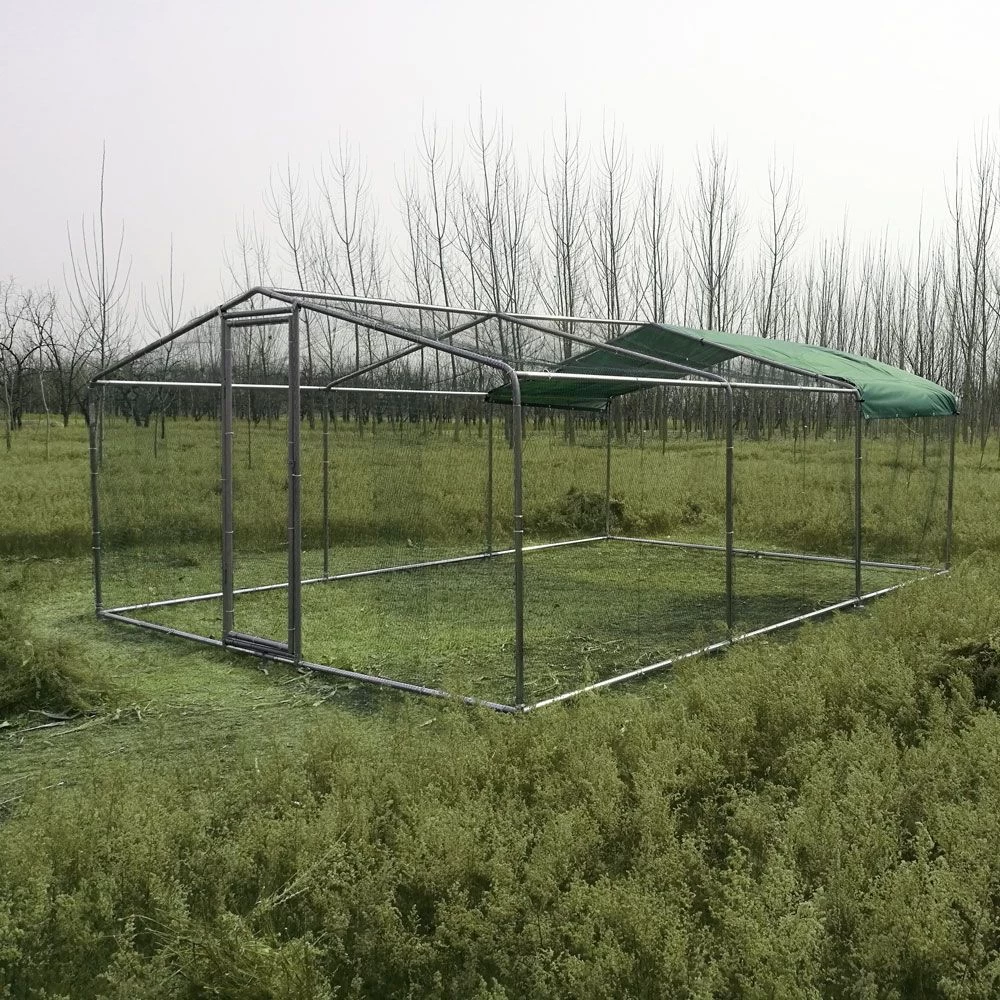 Enclos Poulailler 18m² Tubes 38mm H2,25m - Parc Grillagé Renforcé 6x3m - Acier Galvanisé 10 Enclos Poulailler 18m² Tubes 38mm H2,25m - Parc Grillagé Renforcé 6x3m - Acier Galvanisé – Image 8