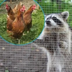 Grillage Poulailler Galvanisé Maille Fine Carrée Fensanet 25m X 1m épaisseur 0,8 Mm - Nortene -Fournitures De Volaille grillage maille carree poule fensanet nortene exemple 1