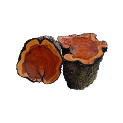 Huile De Cade Pure Poulailler 1L - Oléobois -Fournitures De Volaille huile pure de cade 1l oleobois bois