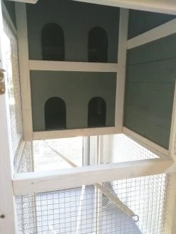 Volière Oiseaux En Bois Avec Toit Shingle Inséparable Bleue Et Blanche 18 Volière Oiseaux En Bois Avec Toit Shingle Inséparable Bleue Et Blanche -Fournitures De Volaille img 20220806 110223