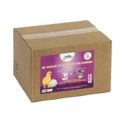 Kit De Chauffage Complet Pour Poussin - Plume & Compagnie -Fournitures De Volaille kit complet de chauffage pour poussins p c 1