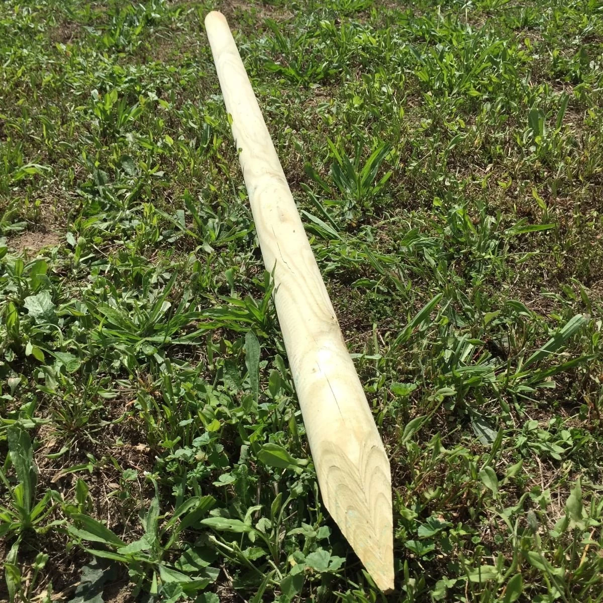 Lot De 9 Piquets Pour Grillage à Poule En Pin Autoclave Classe 4 - 150 X 5 Cm 4 Lot De 9 Piquets Pour Grillage à Poule En Pin Autoclave Classe 4 - 150 X 5 Cm – Image 2