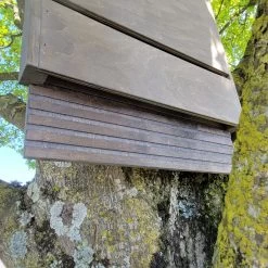 Nichoir Chauve-souris Bois FSC Grande Taille 9 Nichoir Chauve-souris Bois FSC Grande Taille -Fournitures De Volaille maison chauve souris grande d tail entr 2