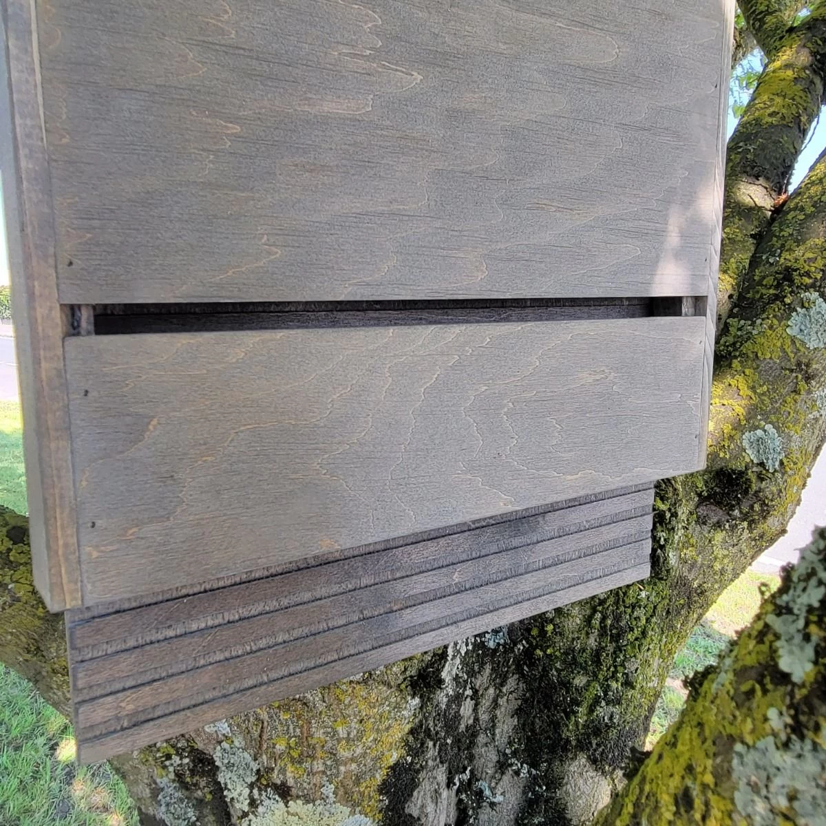 Nichoir Chauve-souris Bois FSC Grande Taille 4 Nichoir Chauve-souris Bois FSC Grande Taille – Image 2