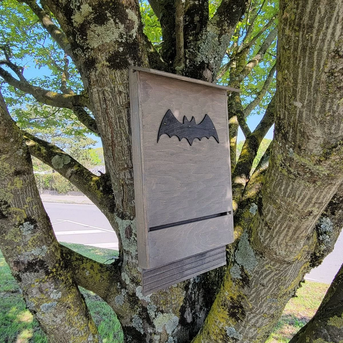 Nichoir Chauve-souris Bois FSC Grande Taille 7 Nichoir Chauve-souris Bois FSC Grande Taille – Image 5