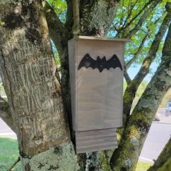 Nichoir Chauve-souris Bois FSC Petite Taille