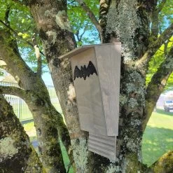 Nichoir Chauve-souris Bois FSC Petite Taille 10 Nichoir Chauve-souris Bois FSC Petite Taille -Fournitures De Volaille maison chauve souris petite vue c t