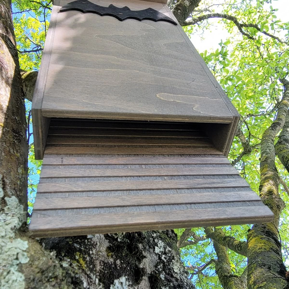 Nichoir Chauve-souris Bois FSC Petite Taille 7 Nichoir Chauve-souris Bois FSC Petite Taille – Image 5